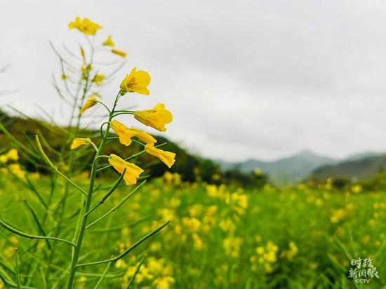  △余村景区一隅。（总台央视记者黄京辉拍摄）