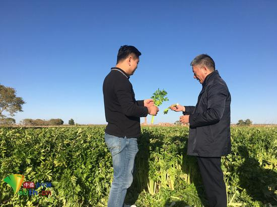 李华一和农户进菜园看蔬菜长势。本人供图