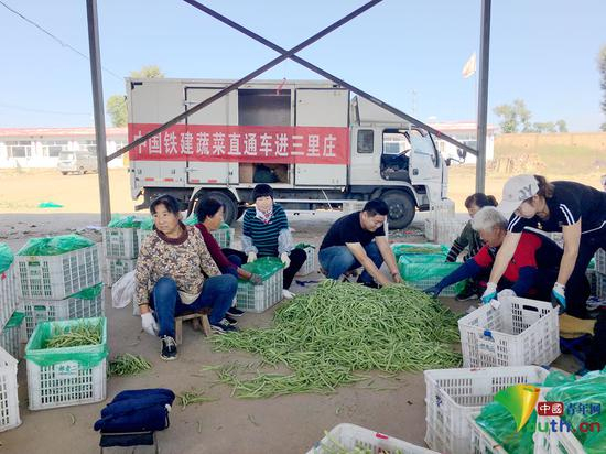 农户们正在准备将新摘的蔬菜装车。本人供图