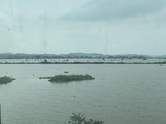 ▲13日，九景高速鄱阳段外农田变泽国。摄影/许云峰