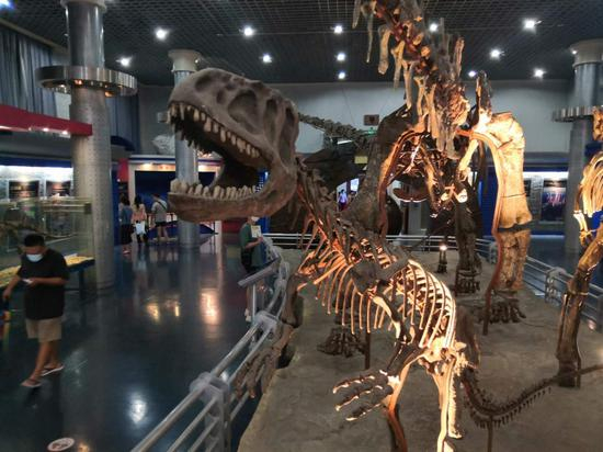 在北京自然博物馆的夜场，恐龙化石在光影之下产生奇幻氛围