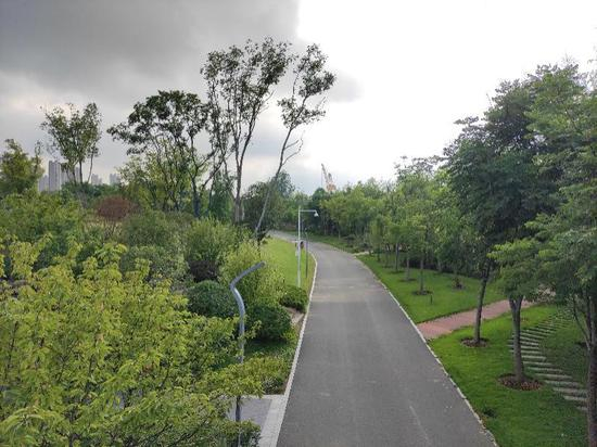 青山江滩景色。郭婷婷摄