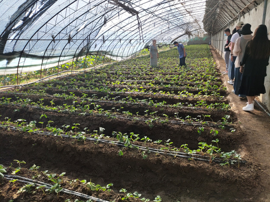  9月9日，“分享收获”农场。记者蔡健雅摄