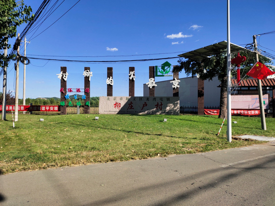 9月9日，柳庄户村。记者蔡健雅摄