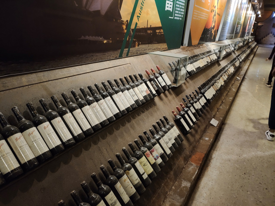  9月9日，葡萄酒博物馆。记者蔡健雅摄