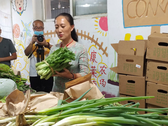  9月9日，“分享收获”农场种植的蔬菜。记者蔡健雅摄