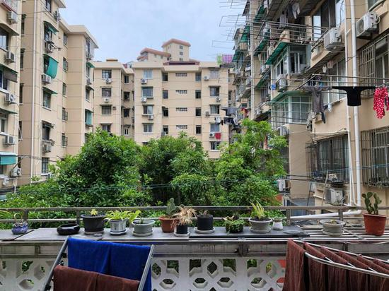 乐山新村，从图中密集的窗户可以看出这里的居民密度。 舒抒 摄于今年4月