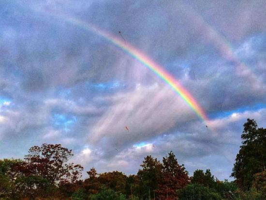 　　图片来源：@李静🐏Shirley麻麻