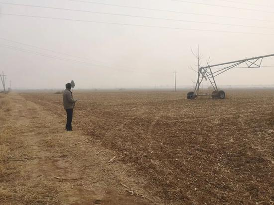 张某芬的遗骨埋在闫小寨村北侧的空地里。新京报记者 李桂 摄