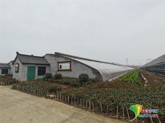 状元红现代农业产业融合发展示范园的大棚。张香丽摄&nbsp;