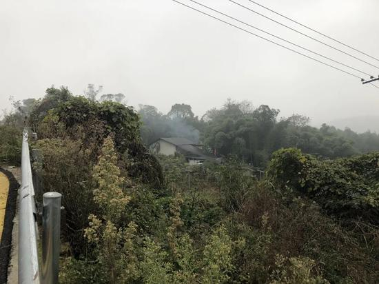 ▲救助站藏在一片茂密的树丛中。新京报记者&nbsp;王翀鹏程 摄&nbsp;