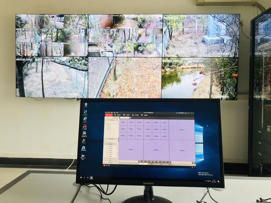  监控室内对獐子的活动进行全方位监测。