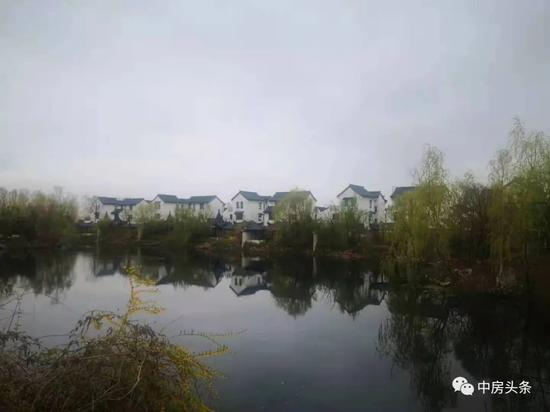 荷塘月色现场