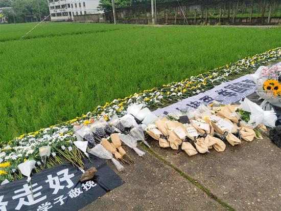 袁隆平逝世后，市民们赶到他生前工作的试验田祭奠，细雨中的田埂上摆满了菊花。图片由受访者提供