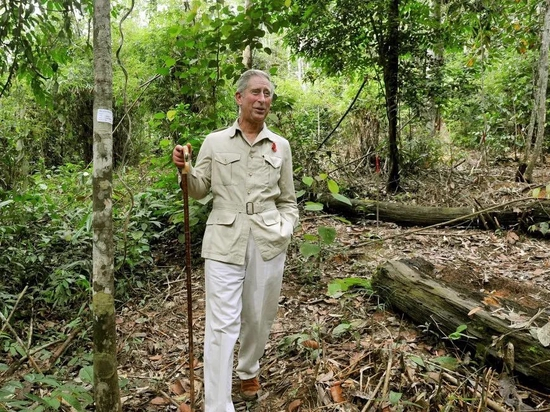 　被葱郁所围绕的查尔斯。