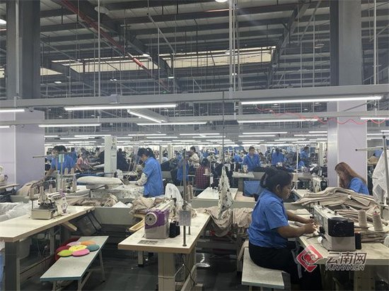 万千气象看云南芒市产业园优化营商软环境促园区企业硬发展