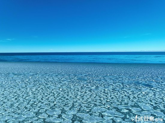 ���յ��ຣ�����ຣ�ձ���ý����� ����� ��