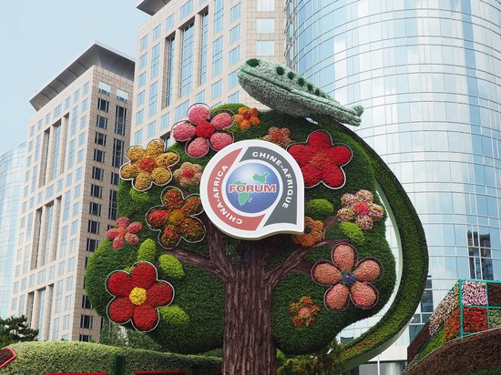 △北京长安街中非合作论坛峰会主题花坛