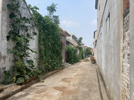 郭新镇养父母家所在的街道