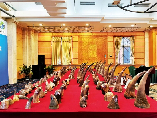  海关部门查获的犀牛角、象牙等物品。图/厦门海关缉私局