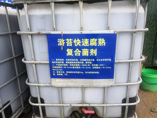 浒苔经过喷洒快速腐熟复合菌剂后被投海做无害化处理。摄影/本刊记者 周群峰