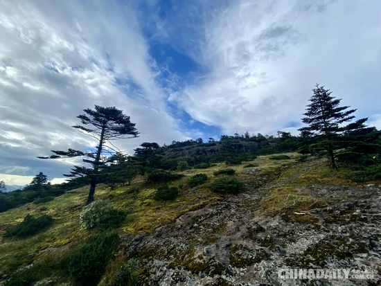 （轿子雪山自然保护区 贾翔 摄）
