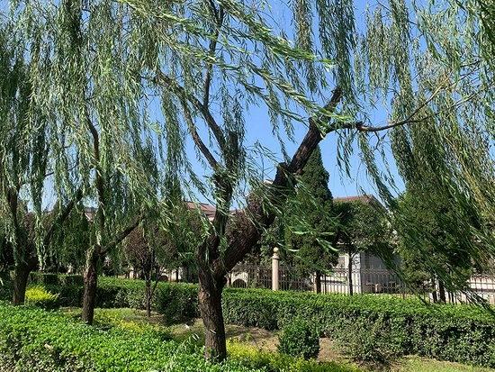  海鑫钢铁原来的高管宿舍区。摄影：翟星理