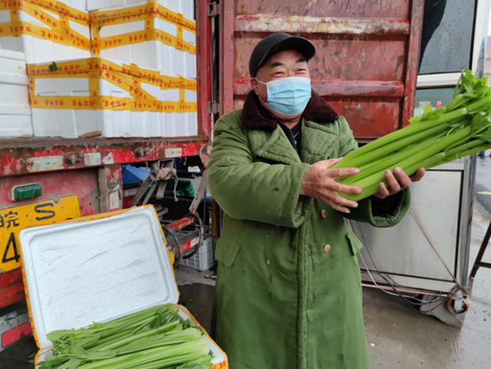  河南万邦国际农产品物流园商户的新鲜芹菜。新华社记者 李鹏 摄
