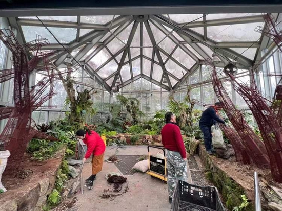  上海植物园温室调整中，迎接免大门票开放。