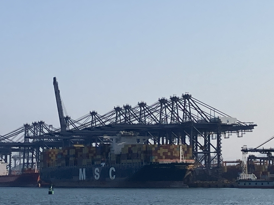 （盐田港码头）