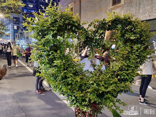 步行街一处爱心造型的绿植造景