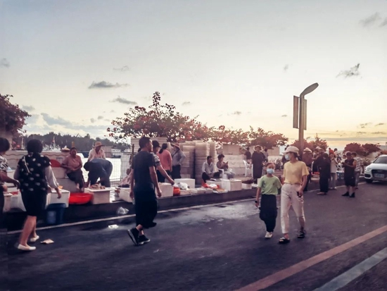  苍南渔寮渔市。摄/陈淑莲