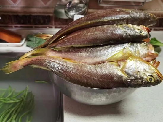  前一日夜里海钓上来的黄鱼，第二天一早高铁快运发出，当天晚上就能到北京家中。摄/陈淑莲