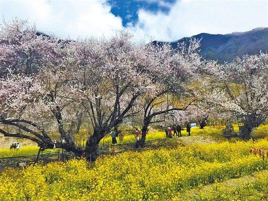 北京联合大学学生研发无障碍盲文键盘