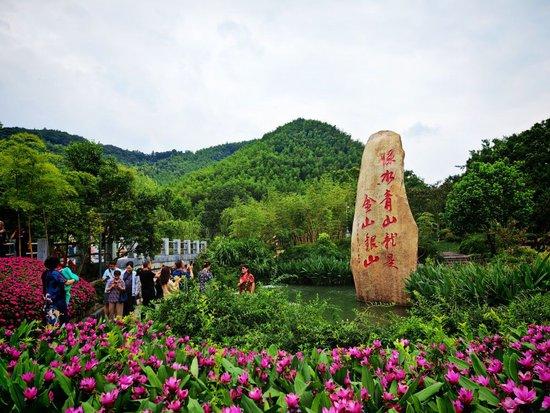 “绿水青山就是金山银山”石碑。新华社记者 黄玥 摄