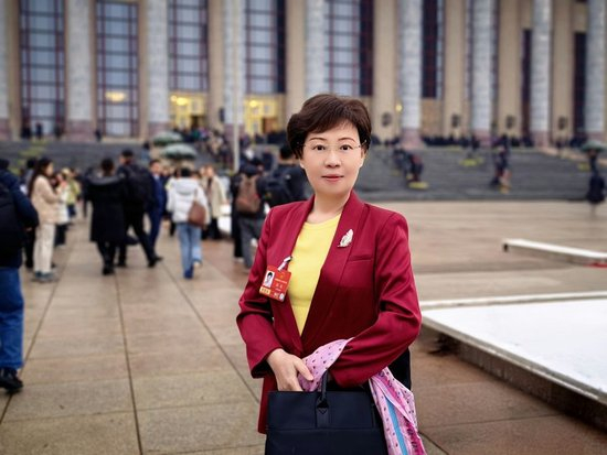  全国人大代表樊芸