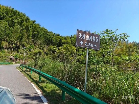 蒲公英纳米探针：敏锐捕捉癌症“蛛丝马迹”