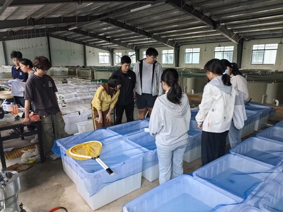  国庆期间，高泽霞和团队学生交流（受访者供图）