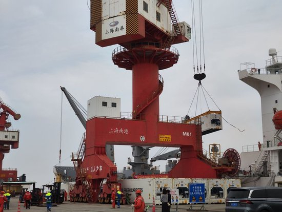 3月26日，装载着佳沛奇异果的“科槐号”散装水果冷藏货船抵达中国（上海）自由贸易试验区临港新片区南港码头。新华社记者杨有宗 摄