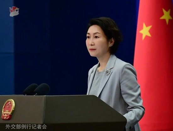 毛宁资料图。图源：外交部网站