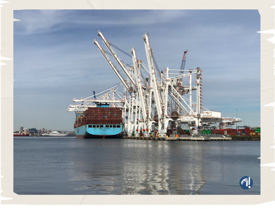 △美国巴尔的摩港，拜登曾在此地就基础设施投资法案进行演讲，图中的大型起重机产自中国