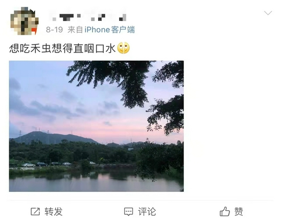 禾虫，尝过这一口鲜，就忘不掉 &nbsp;图源：微博截图