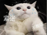 今年丢准考证的高考生已出现……