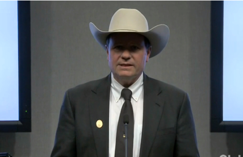 达纳·皮尔斯 （图源：视频截图）