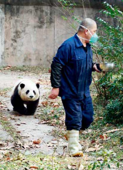 ·“花花”小跑着跟在谭金淘身后。