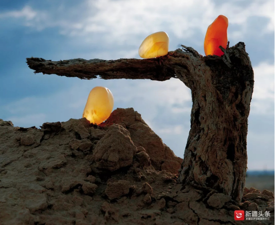 乌尔禾戈壁瑰宝金丝玉润泽剔透。图&nbsp;/克拉玛依市乌尔禾区旅游局