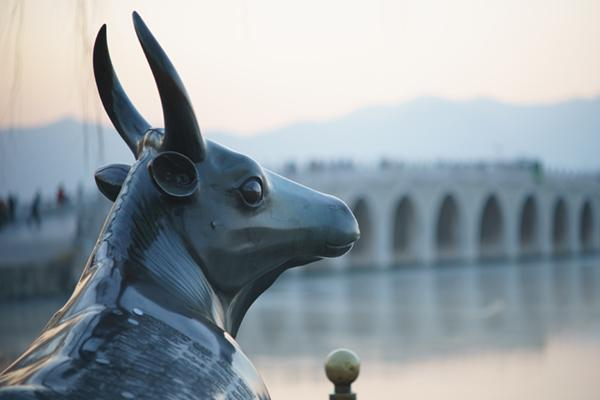 北京颐和园内的铜牛。图|图虫创意