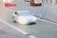 司机主路上边开车边遛狗:毛没干 怕弄湿车