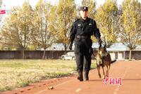 视频-年纪小“功夫”高!北京首批警用克隆犬入警