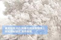 美!来看江西庐山今冬雾凇首秀